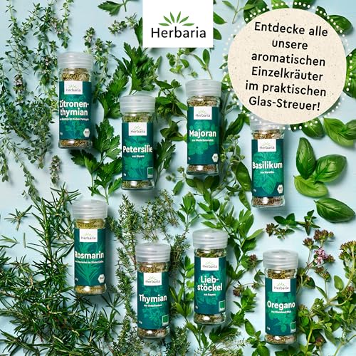 Herbaria Petersilie BIO | Getrocknet in BIOLAND Qualität | Fein-würziges Gewürz für Suppen, Soßen & Gemüsegerichte | Küchenkräuter Frisches-aromatisch | Premium Bio-Gewürz im 8g Gewürzstreuer