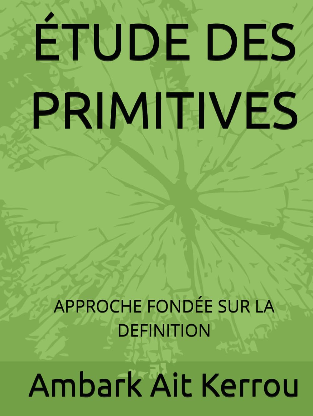 ÉTUDE DES PRIMITIVES: APPROCHE FONDÉE SUR LA DEFINITION