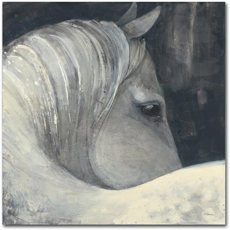 Trademark Fine ArtBijou by Albena Hristova, 14x14-Inch Canvas Wall Art