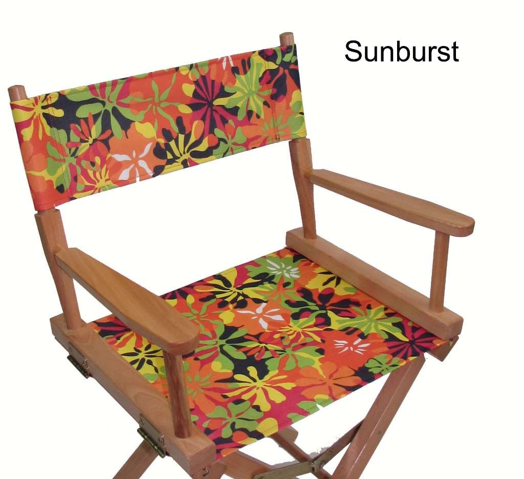 Director Chair Covers All Chairs