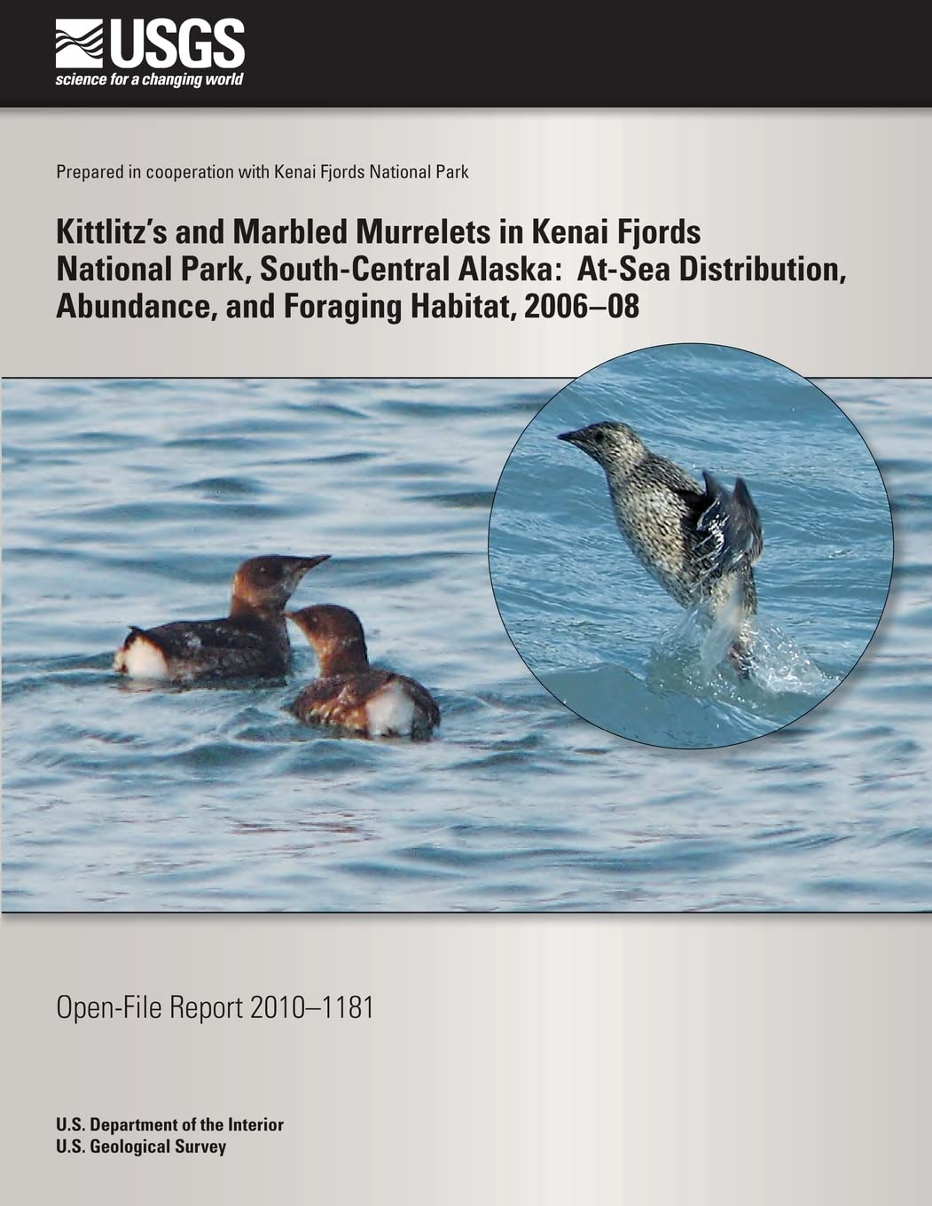 Kittlitz?s and Marbled Murrelets in Kenai Fjords National Park, South-Central Alaska: At-Sea Distribution, Abundance, and Foraging Habitat, 2006?08