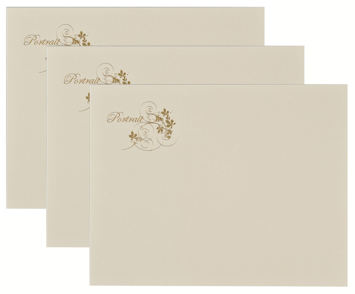 Amazon | Chikuma 写真台紙 ポートレート台紙No.37 横 2L 1面 クリーム