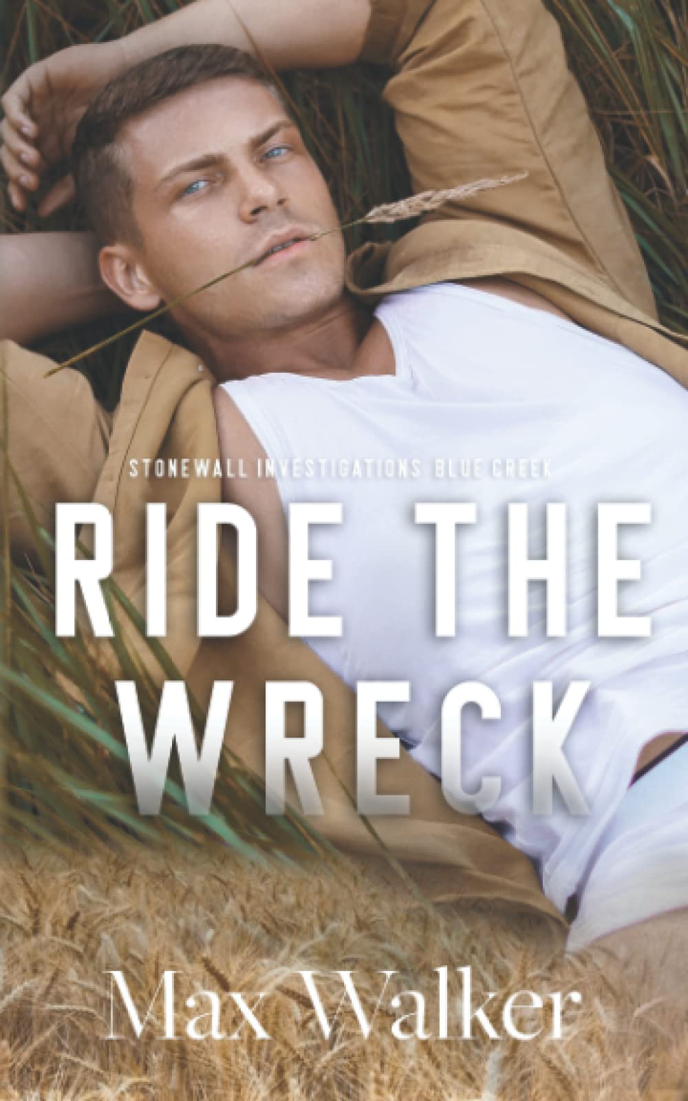 Ride the Wreck: 2 (Stonewall Investigations: Blue Creek)