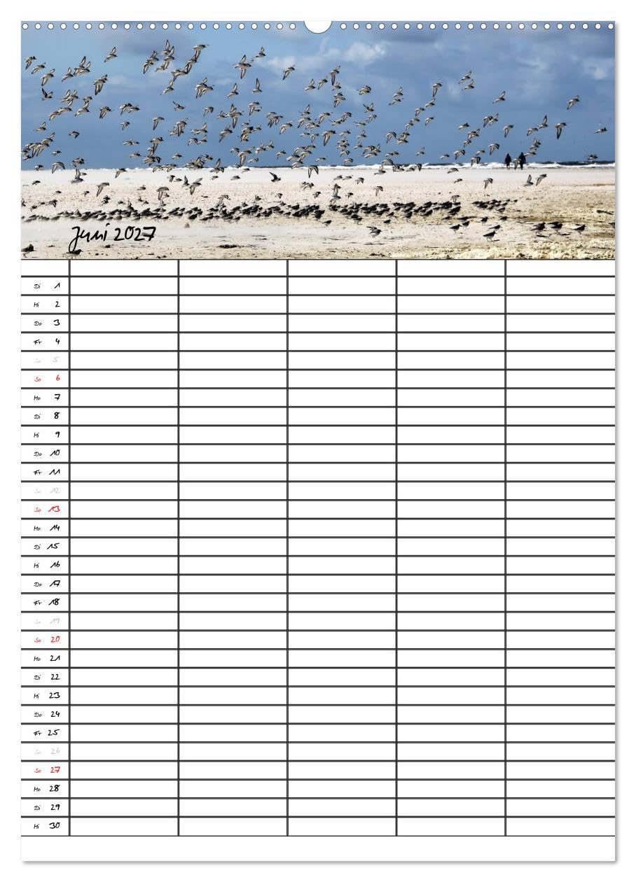 CALVENDO - Urlaubsparadies Amrum/Familienplaner (hochwertiger Premium Wandkalender 2027 DIN A2 hoch), Kunstdruck in Hochglanz: Wunderschöne Bilder von der Urlaubsinsel Amrum