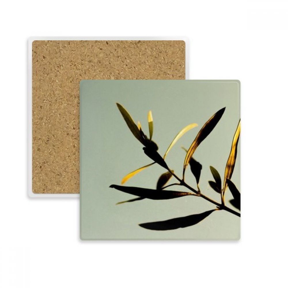 Porte tasse pierre absorbante sous-verre nature plante feuille pour protection de table