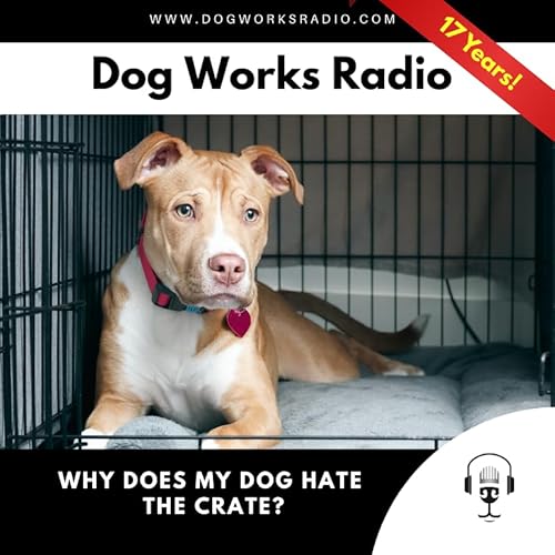 Why Does My Dog Hate the Crate?
