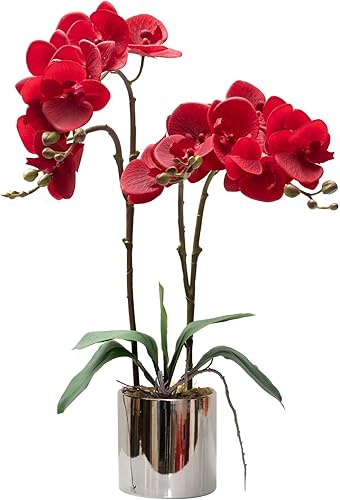 CXGS Plantas artificiales de orquídeas artificiales de tacto real en jarrón de cerámica, orquídea roja realista Phalaenopsis arreglo de flores