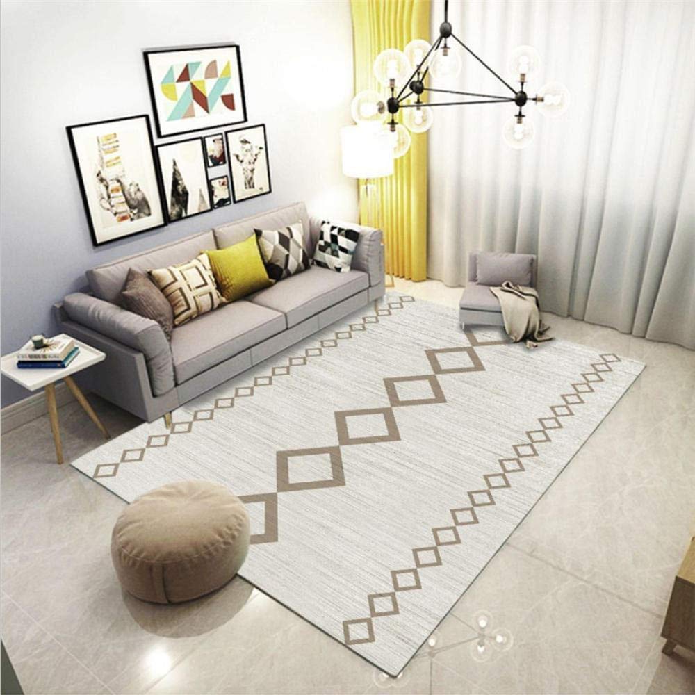 Tapis acceptant les animaux domestiques gris grand tapis anti griffures
