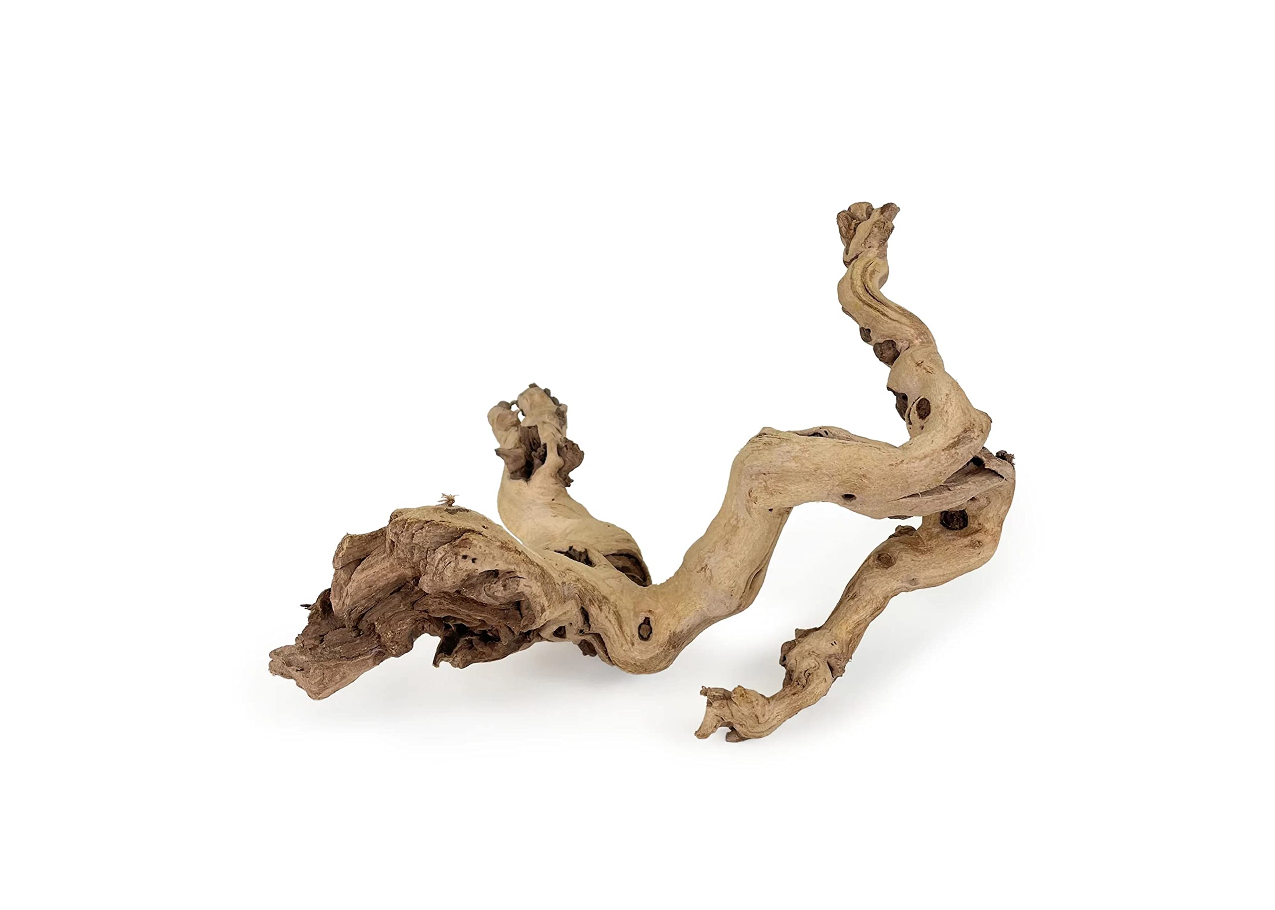 Amazon.com: De La Terre 噴砂天然加州葡萄木| 裝飾葡萄木裝飾(15 英吋