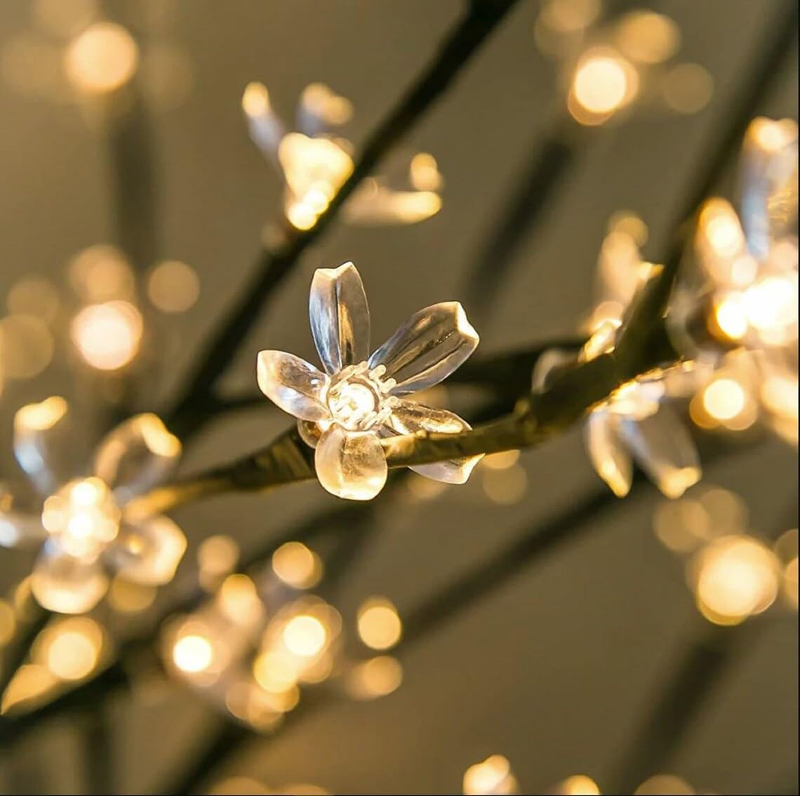 LOWYA ガラスシェード 天然木フレーム 4灯 New Jasmina ◆ LOWYA ガラスシェード 天然木フレーム 4灯 New Jasmina ◇