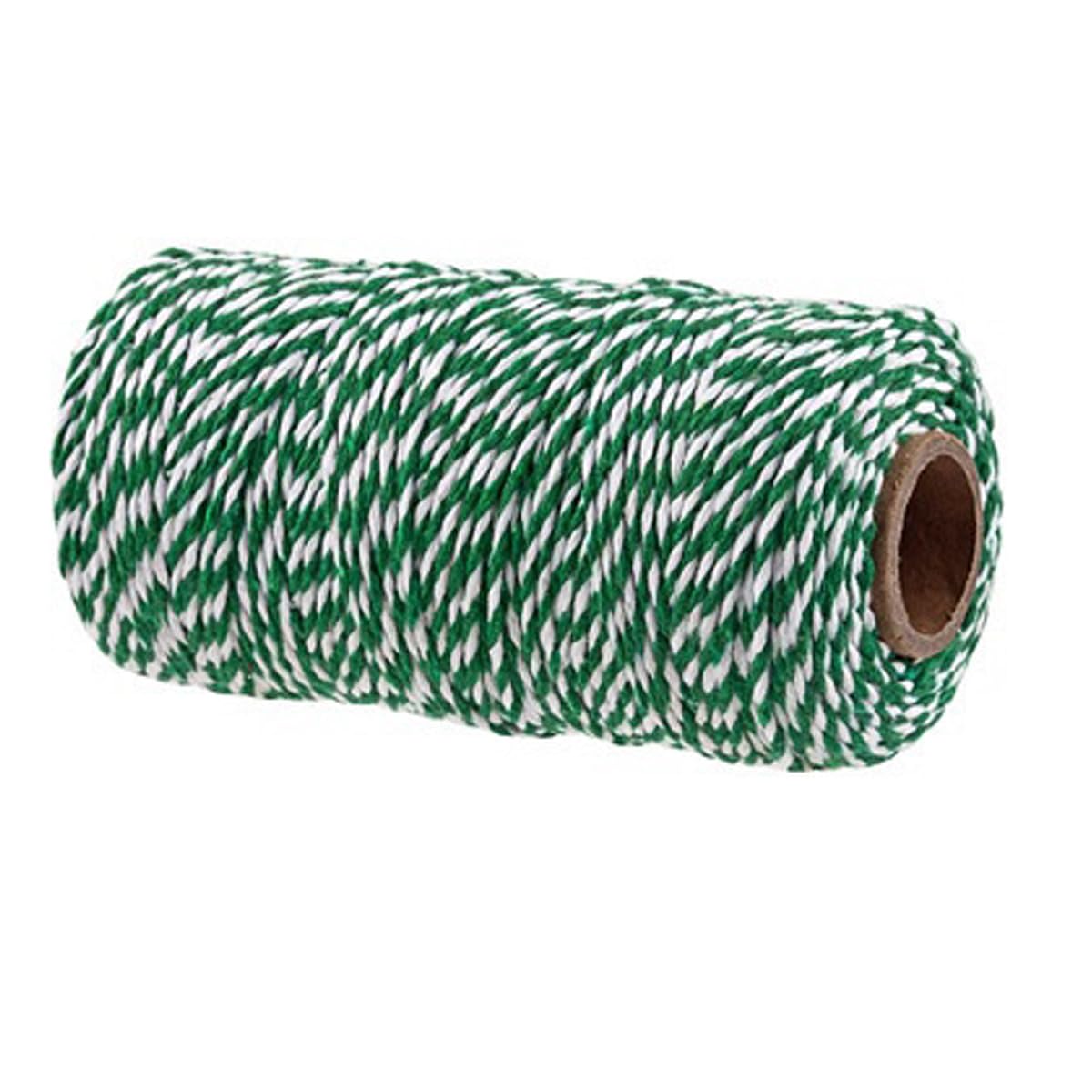 100 m Butchers Twine String for Crafts, 2 mm Cotton Coloured Bakers Twine Thread for Kitchen Cooking Meat, Present Wrapping, Crafting, Gardening, Crafts (Green)