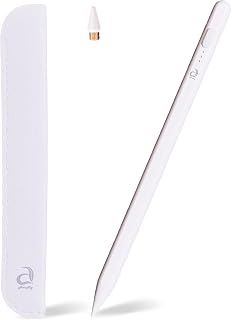 Stylus Pen for iPad with Pen Holder, 2X Fast Charging- Apple iPad Pencil for iPad 2018-2023, iPad Mini 5/6, iPad Pro 12.9" & 11", iPad Air 3/4/5, iPad 6-10