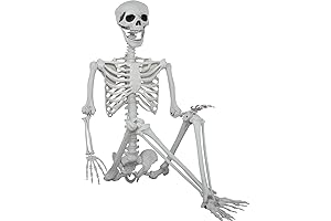 XONOR 5.9ft Life Size Skeletons for Halloween