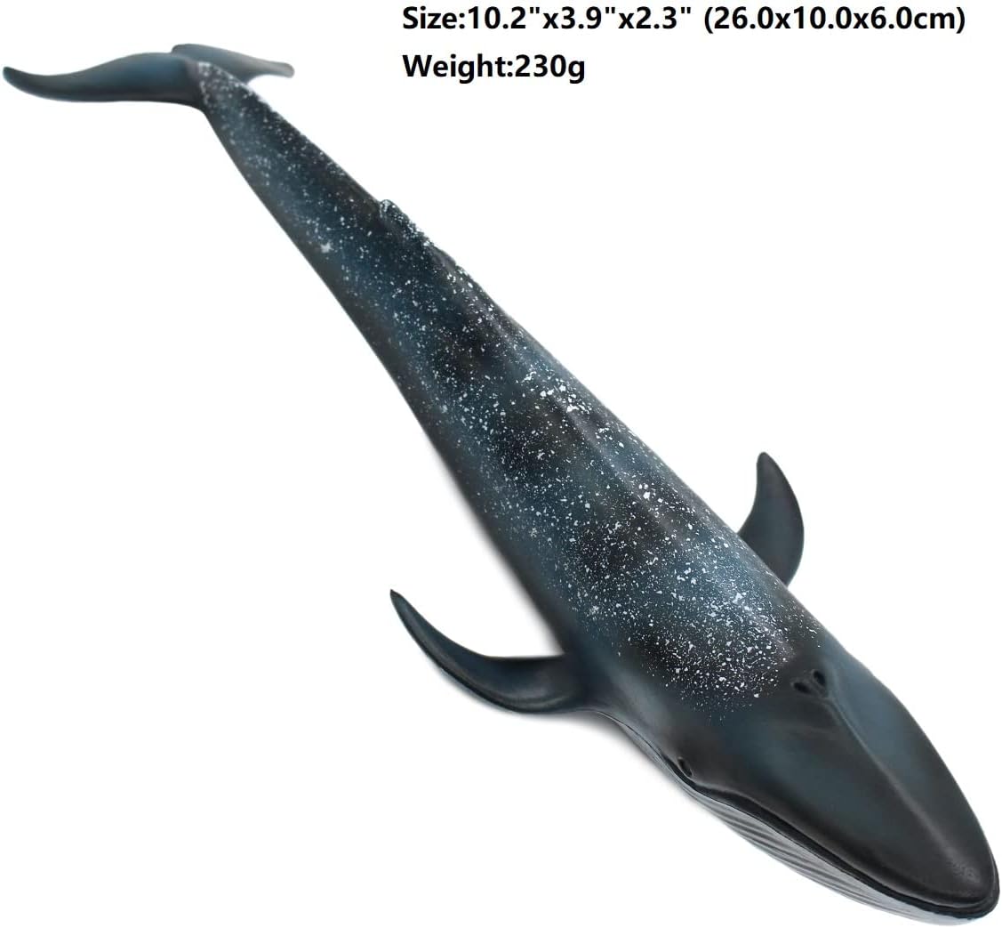 Wei Long Sea Animals Simulation Ocean Whale Toy Model Figures Toy Model Birthrday Gift Party School Project Favors Toys for Kid Boys Girls(Blue Whale)
