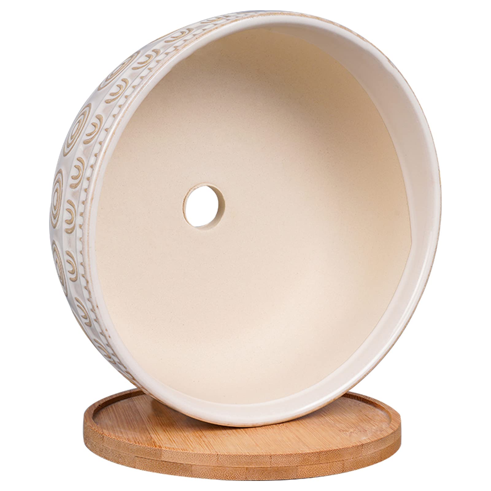 Eightpot Sukkulenten-Übertopf aus Keramik, 20,3 cm, mit Ablaufloch und Untersetzer, rund, flach, für Zimmerpflanzen, weiß