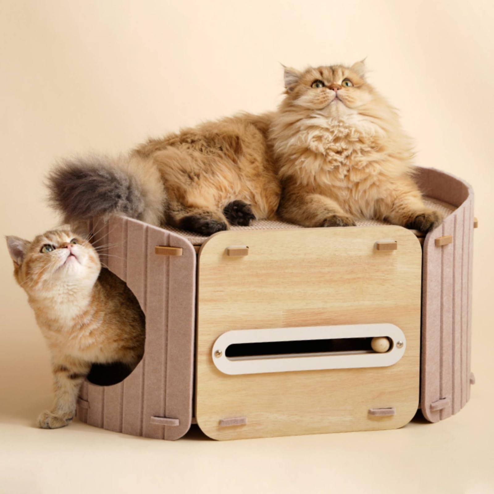 Qianly Casetta Tiragraffi Accogliente Cuccia in Feltro Basso Cuccia con Palla da Gioco per Gatti, Gattini, Salotto