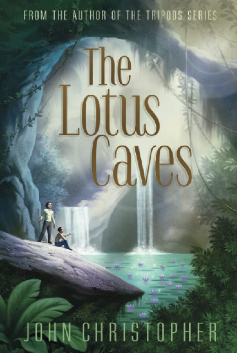 The Lotus Caves Paperback – November 4, 2014