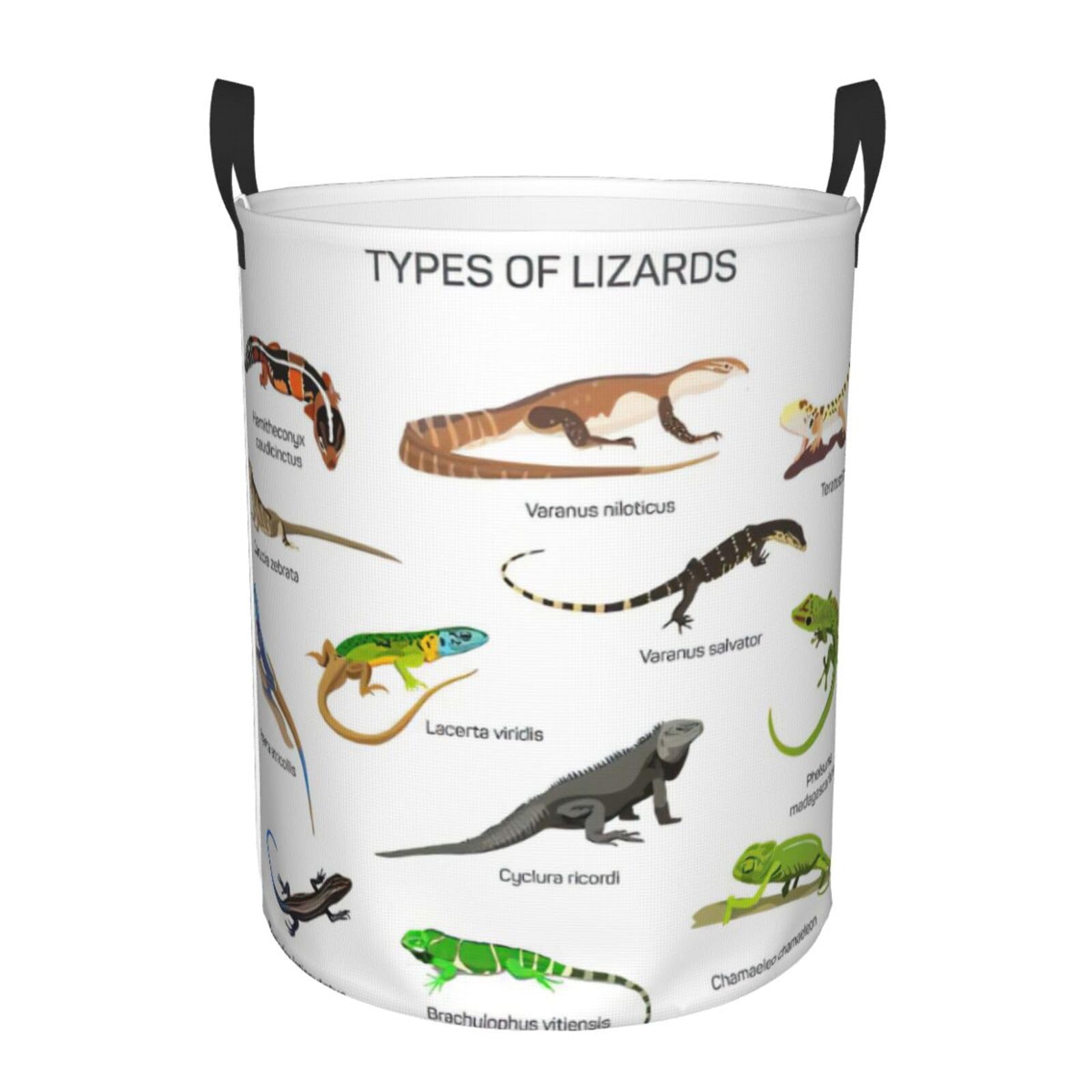Panier à linge imprimé lézard grand modèle pour couvertures