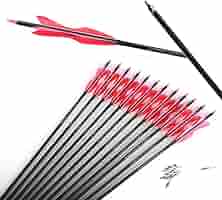 ACCMOS 12er Set Kohlenstoff Pfeile - Spine 800 Für Bogen Jagd & Training