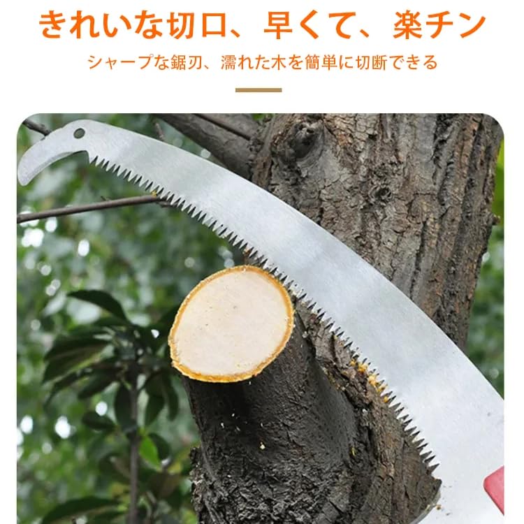 Amazon.co.jp: ノコギリ 高枝切りノコギリ シャークソー 伸縮式高枝鋸