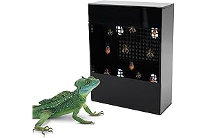 Chameleon Feeder: Bearded Dragon's Digging Paradise