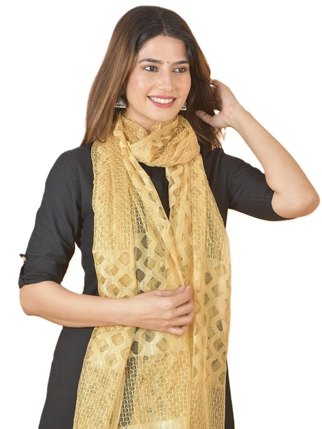 Nakoda Creation Net Self Design Women Dupatta (Super Net Dupatta-Beige) - BZ63317-picture-59