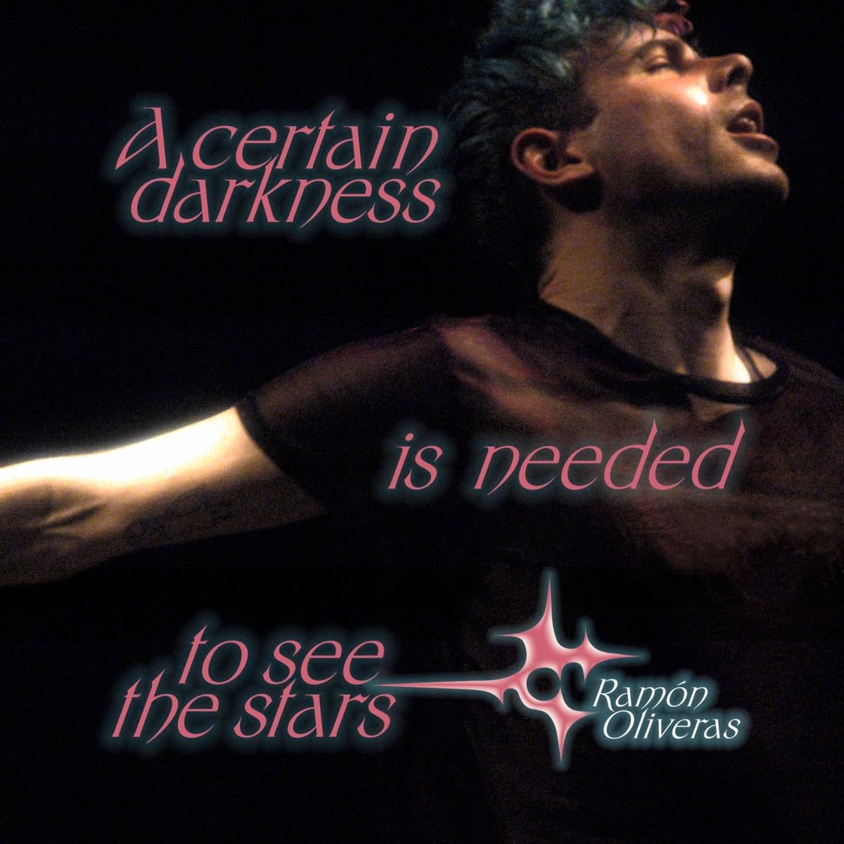 A Certain Darkness is Needed to See the Stars [12" VINYL]