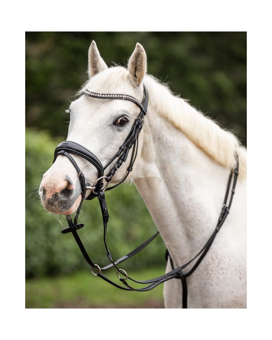 4Horses Martingal, verstellbares Leder-Martingal mit Hals- und Brustriemen, langlebig und stabil fürs Reiten