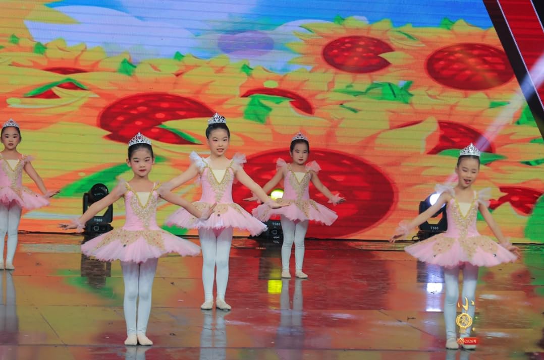 EFLALYHG Niña Tutu Ballet Danza del Cisne Disfraz de actuación Panqueque Tutu Bailarina Fiesta Disfraz de Baile Vestido de competición de Ballet
