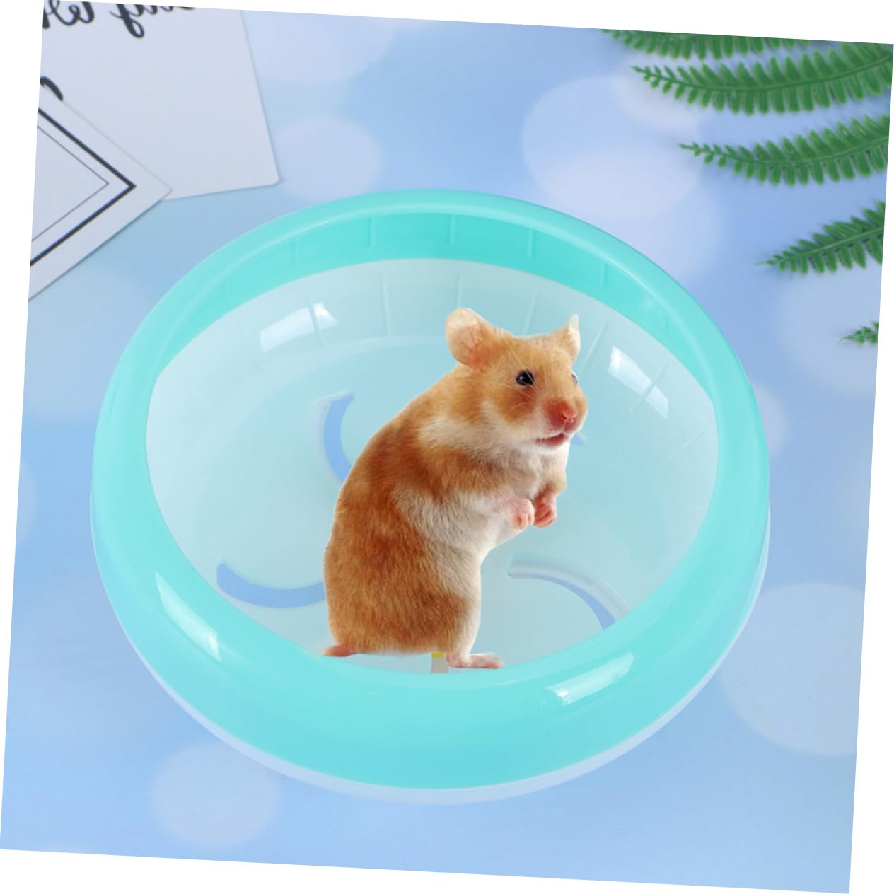 BESPORTBLE 3pezzi Ruota Da Esercizio Silenziosa Per Criceti Topi e Gerbilli Design Divertente e Sicuro Per La Corsa Notturna Senza Rumore
