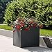 Square shaped planter