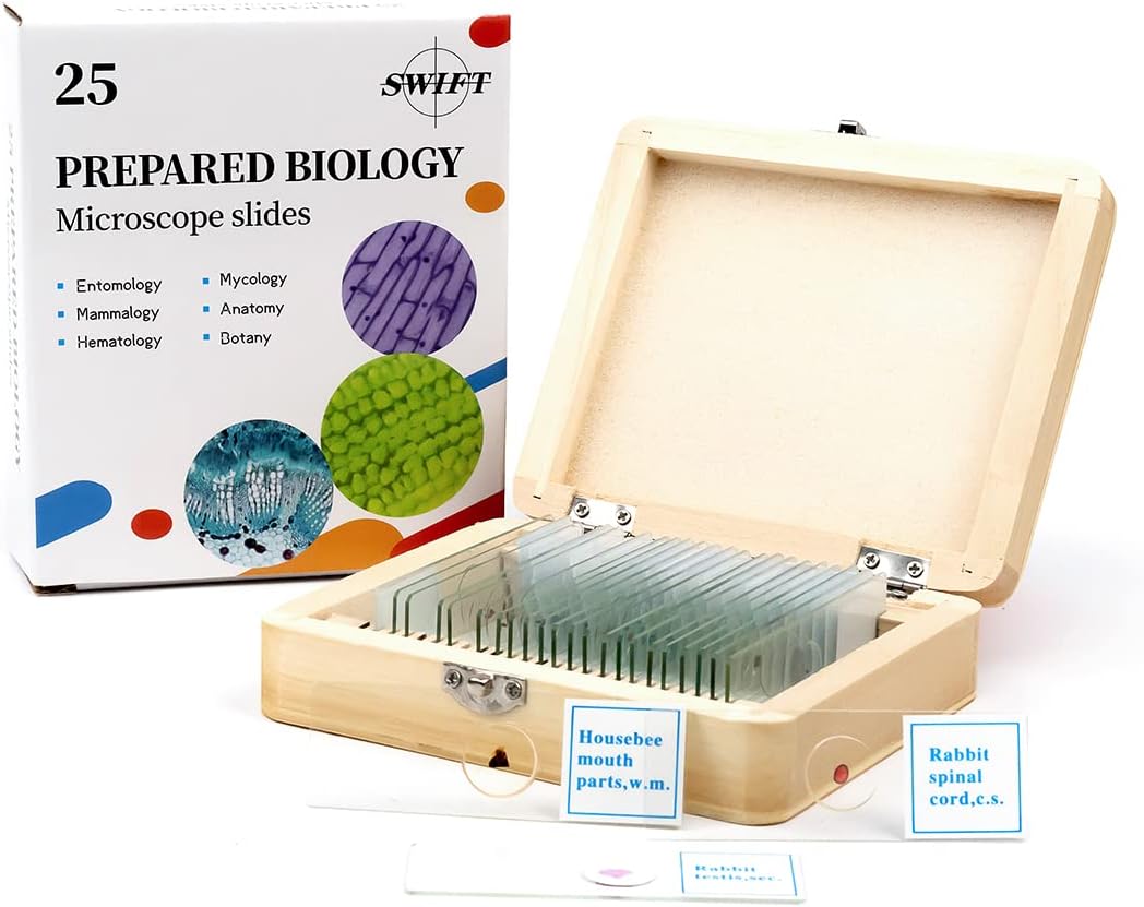 swift25PCS Prepared Microscope Slides Set for Basic Biological Science, Glass Slides Set with Wooden Case