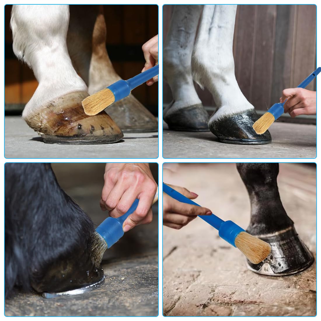 2pcs Spazzola per zoccoli di cavallo Spazzola per zoccoli con cappuccio in pelo di maiale Spazzola per zoccoli per cura degli zoccoli