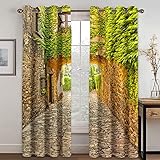 [Questa confezione contiene 2 pannelli. Ogni tenda misura (70cmx160cm).