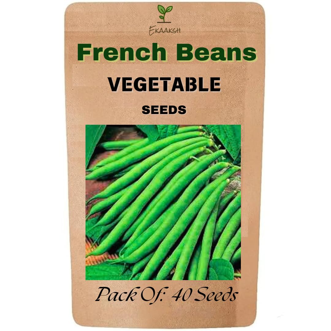 Ekaaksh - French Beans Seeds + Free Seed Germination Paper + Planting Guide - New Seeds with Test Result - Best for Pots, Terrace & Kitchen Gardening-image-17