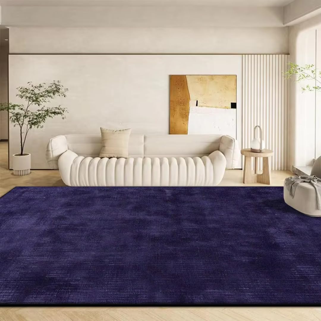 Tapis facile à nettoyer anti-poussière grand format 100x200 pour salon moderne