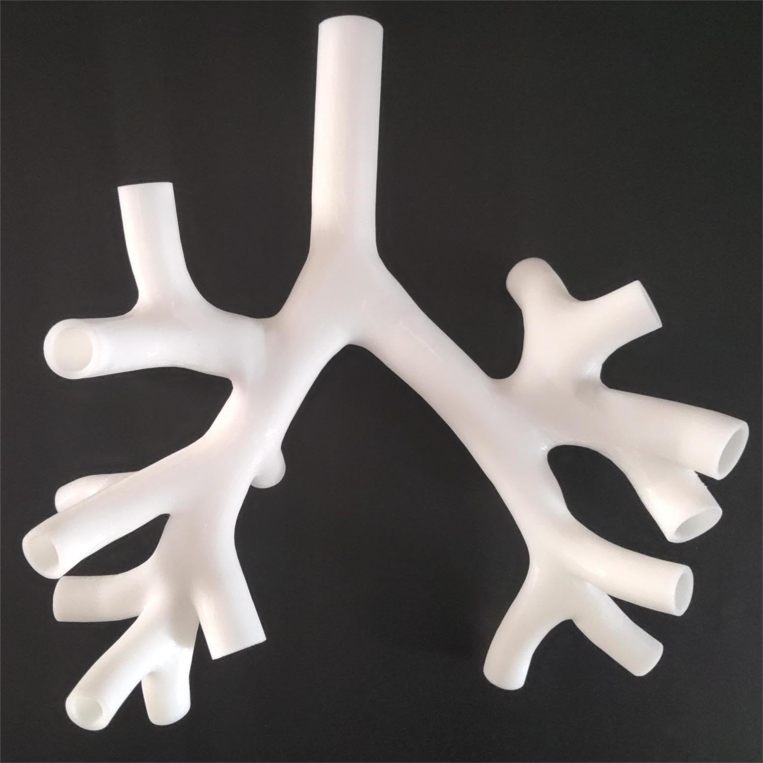 Modello di formazione broncoscopia, resina albero bronchiale modello anatomia fibra set per insegnamento medico, scuola di medicina infermieristica apprendimento