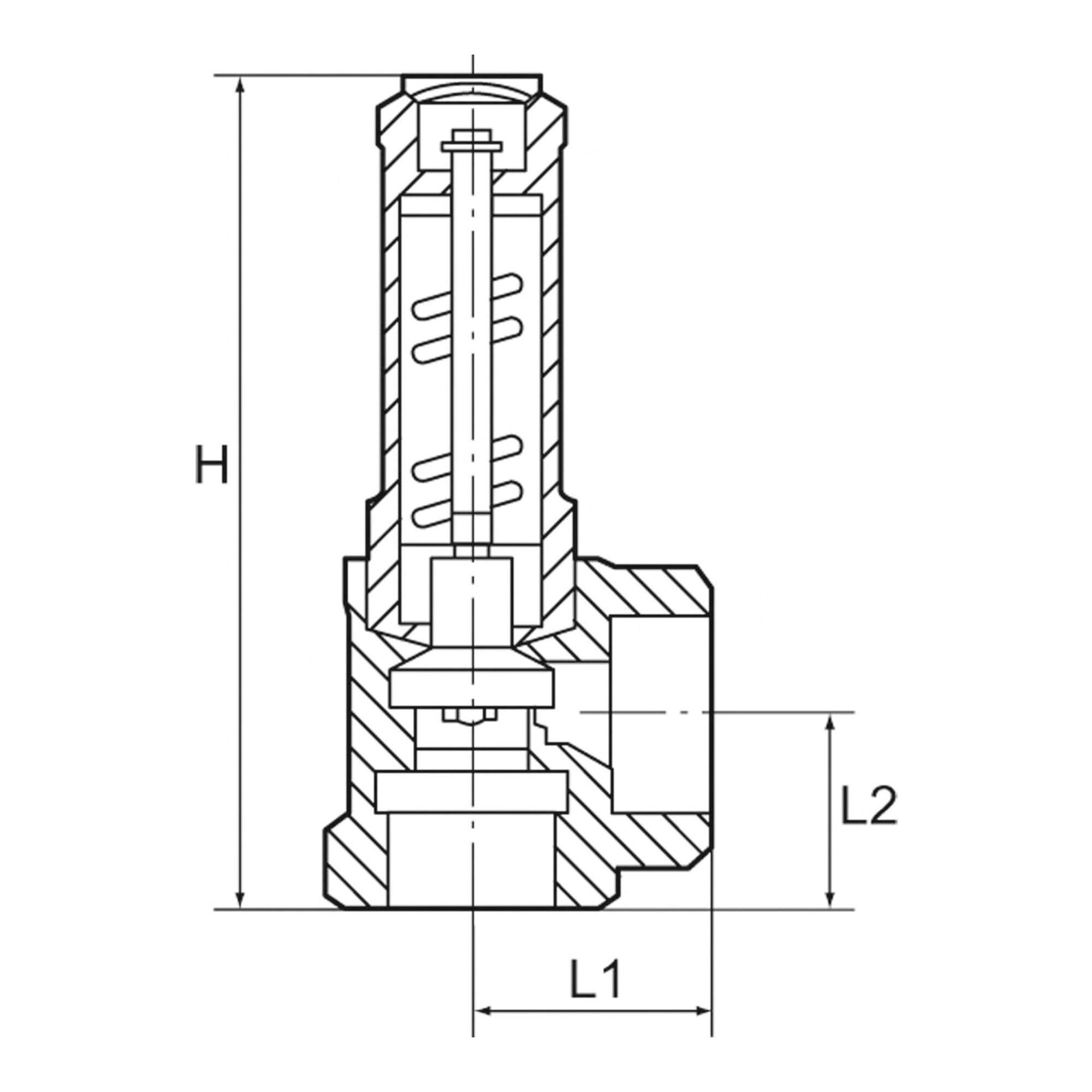 RIEGLER 105609-221.06-1,0 Eck-Sicherheitsventil, Flüssigkeiten, G 1 1/4 Ansprechdruck 1 bar, 1Stk