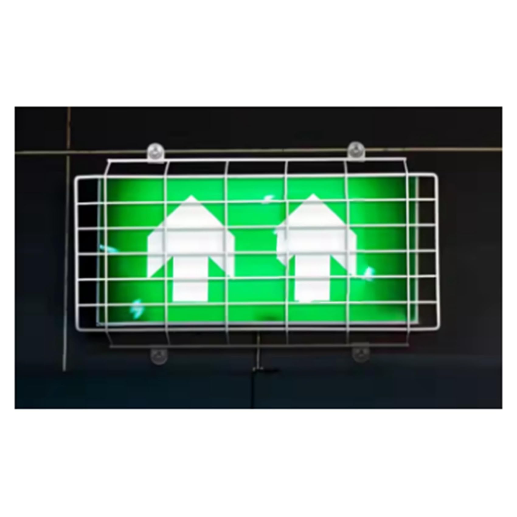 2X Protector de Luz de Salida de Emergencia de 420 X 220 X 40 Mm, Montaje en Pared, Cubierta de Alambre.