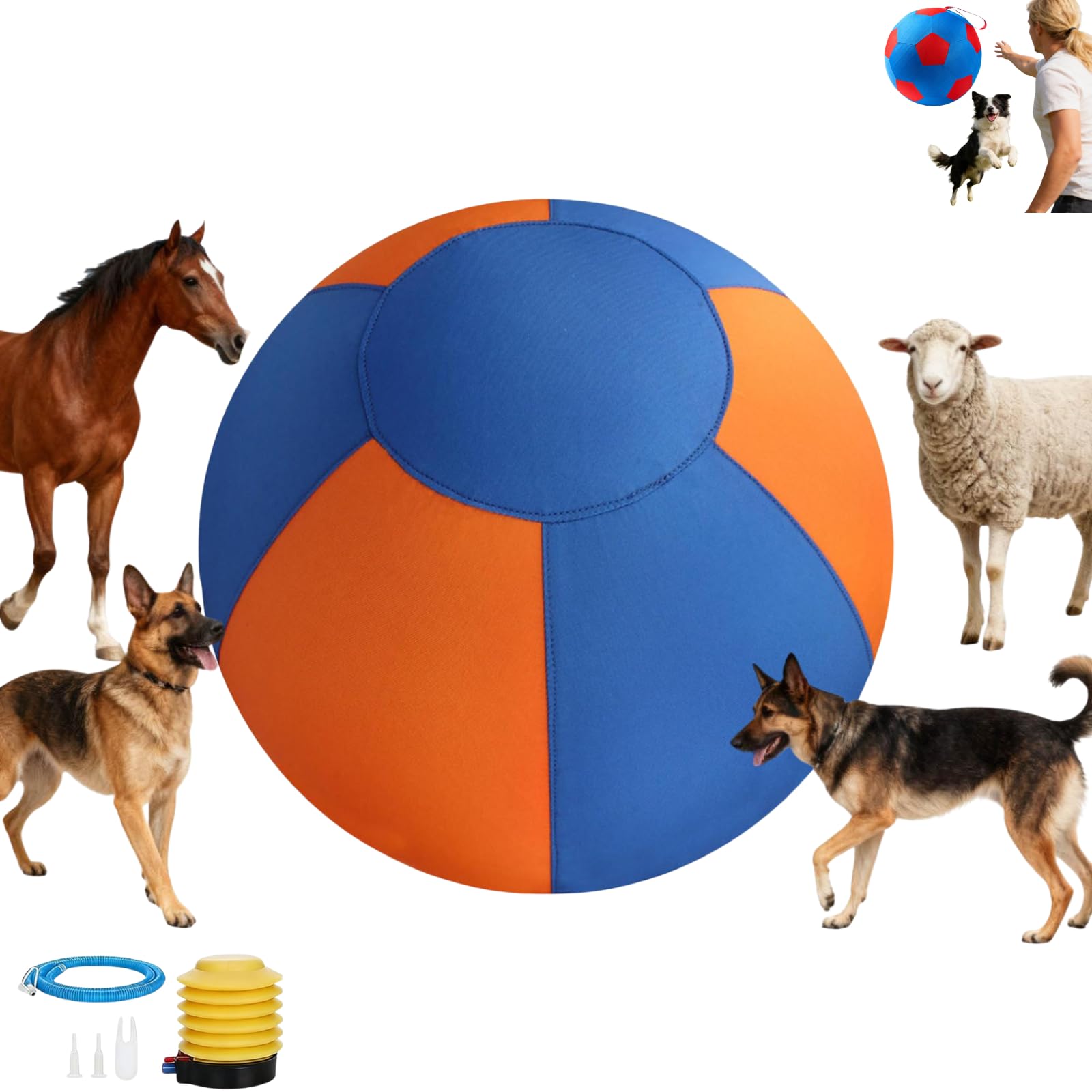 Giant Dog Ball, Herding Ball for Dogs, Durable Inflatable Ball for Dogs, Mental Stimulation & Push-and-Chase Play for Outdoor Exercise (Orange_65cm)