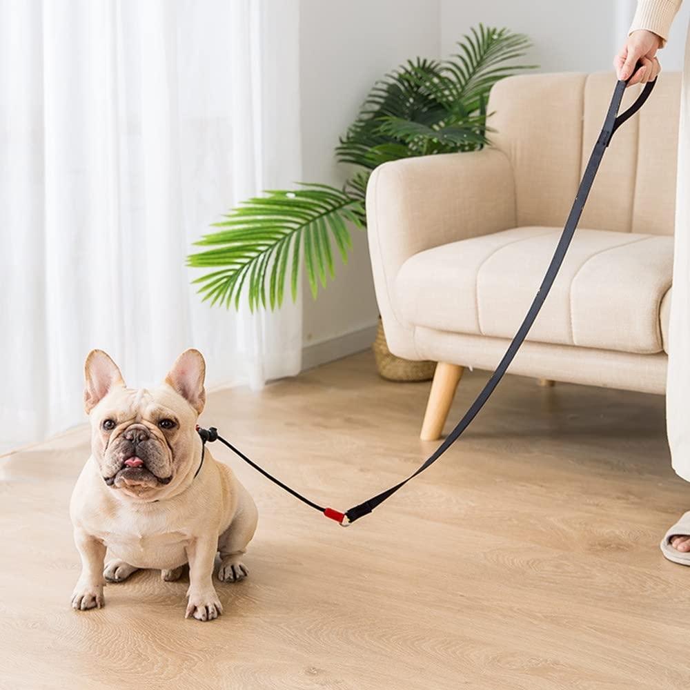 Laisse Dressage Rembourrée Corde,1,4 m Laisse de Contrôle Professionnelle avec 2 Poignées pour Chien Chiots de Petite Taille Moyenne