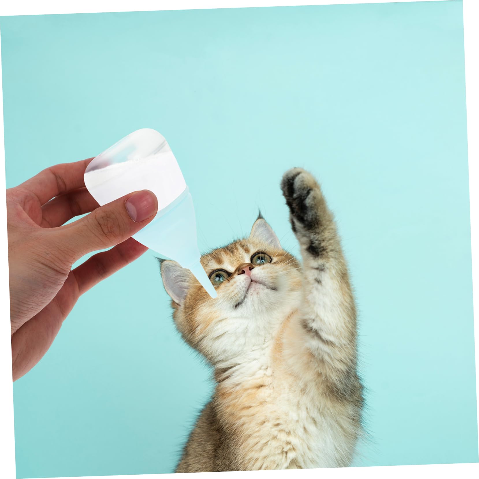 Toddmomy Pet Nursing Bottle Set Kitten Bottles for Nursing Puppy Feeding Milk Bottle Squeeze Reusable Nursing Bottle for Small Cat Dog