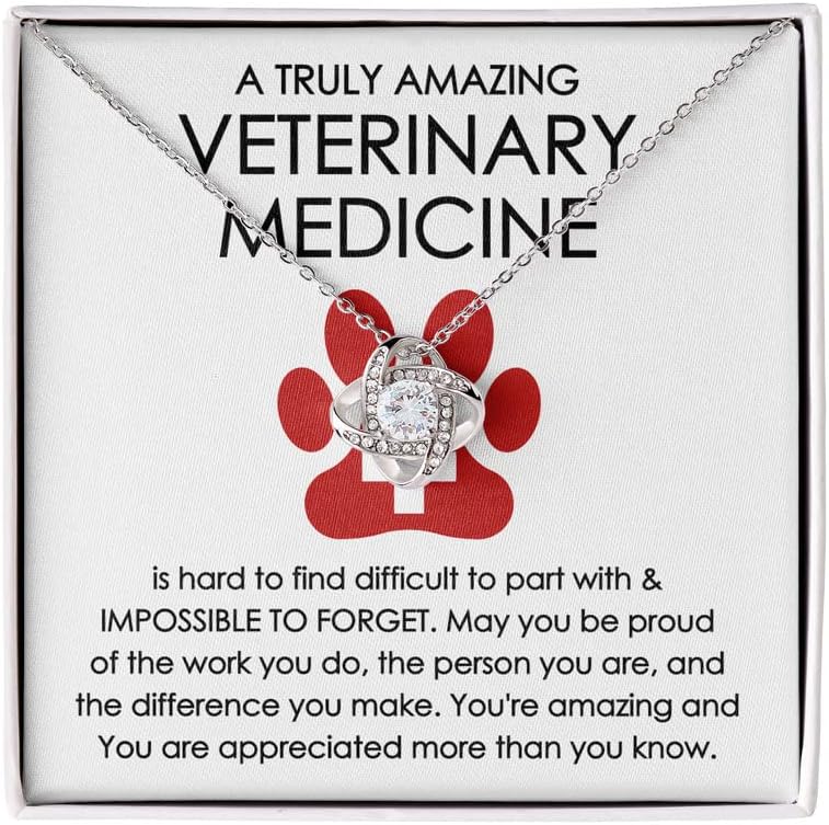 Veterinary Medicine Necklace Silver Plated Love Knot - Hard to Find Difficult to Part - Veterinarian Tech Doctor Dog Cat Assistant