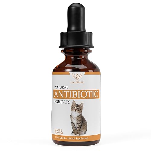 Natural Antibiotics for Cats - Cat Antibiotics - Cat Antibiotic