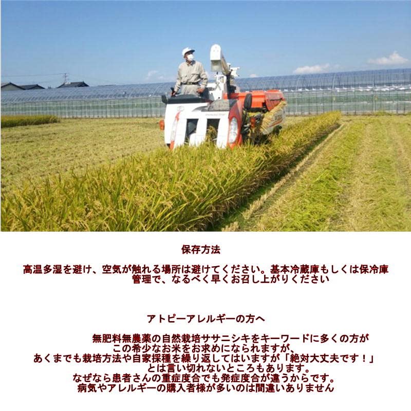 Amazon.co.jp: 【自然栽培】ササニシキ 無洗米 10kg 完全無農薬 有機  