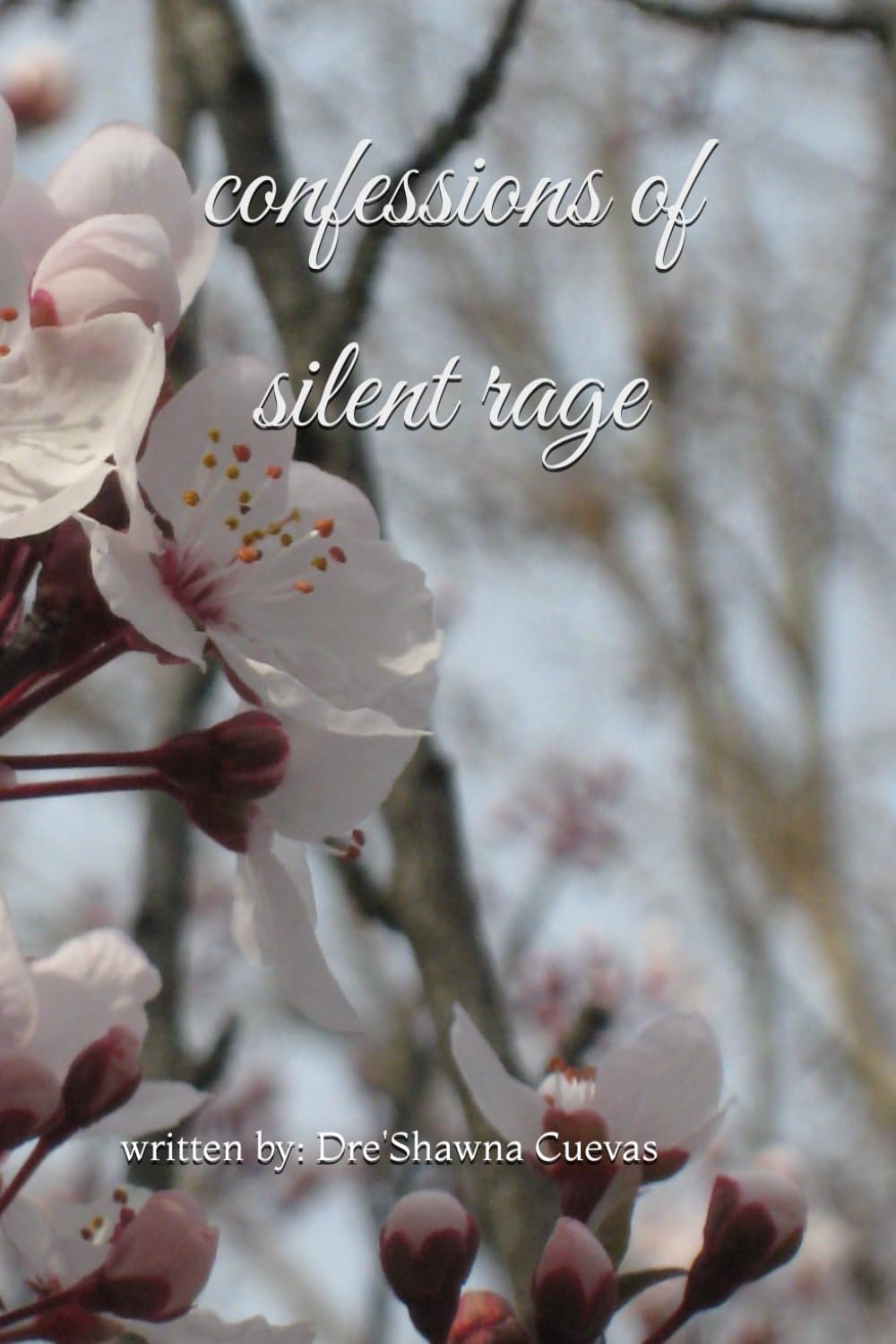confessions of silent rage