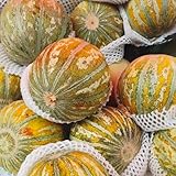 semillas de melón cantalupo - orgánicas, variedades antiguas balcón 45pcs