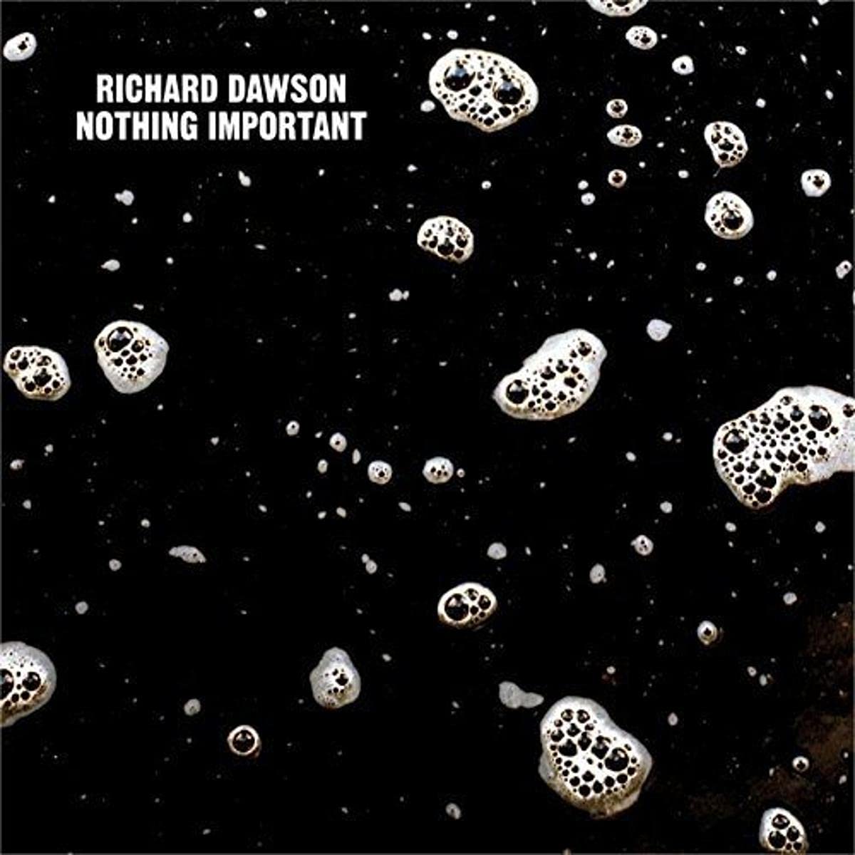 Nothing Important [VINYL]