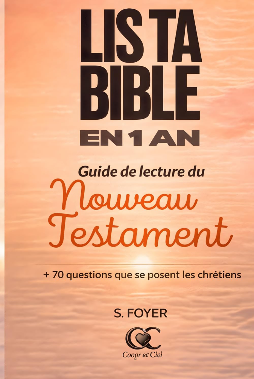 LIS TA BIBLE EN 1 AN: Guide de lecture du nouveau Testament + 70 questions que les chrétiens se posent (Etudes bibliques et prière)