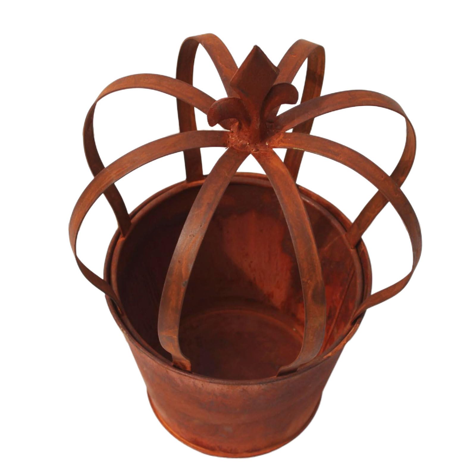NEWFT Distressed Container with Rusty Finish Ideal for Garden Plant Display Ideas Royal Headpiece Garden Flower Pots